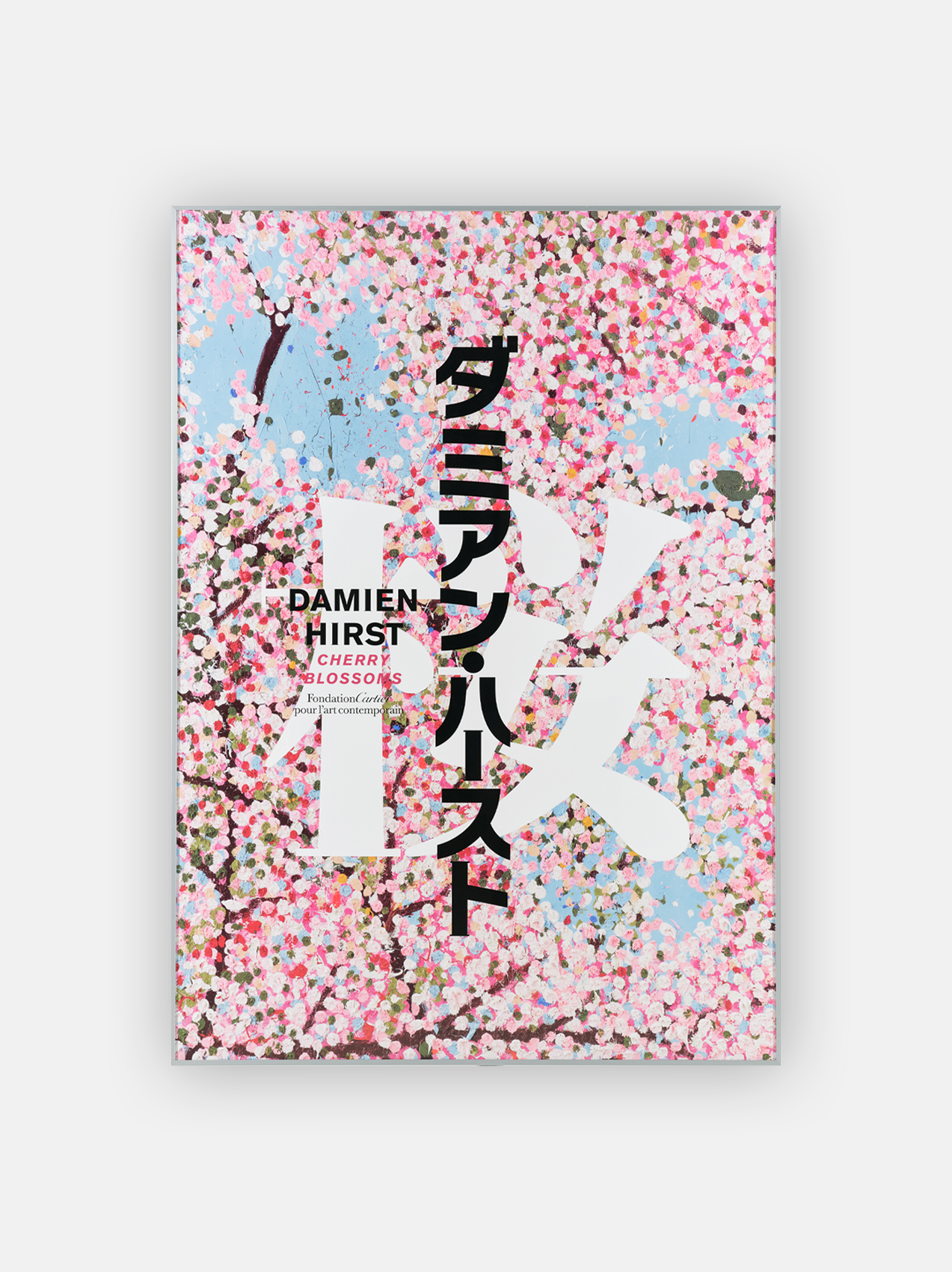 Cherry Blossoms - A