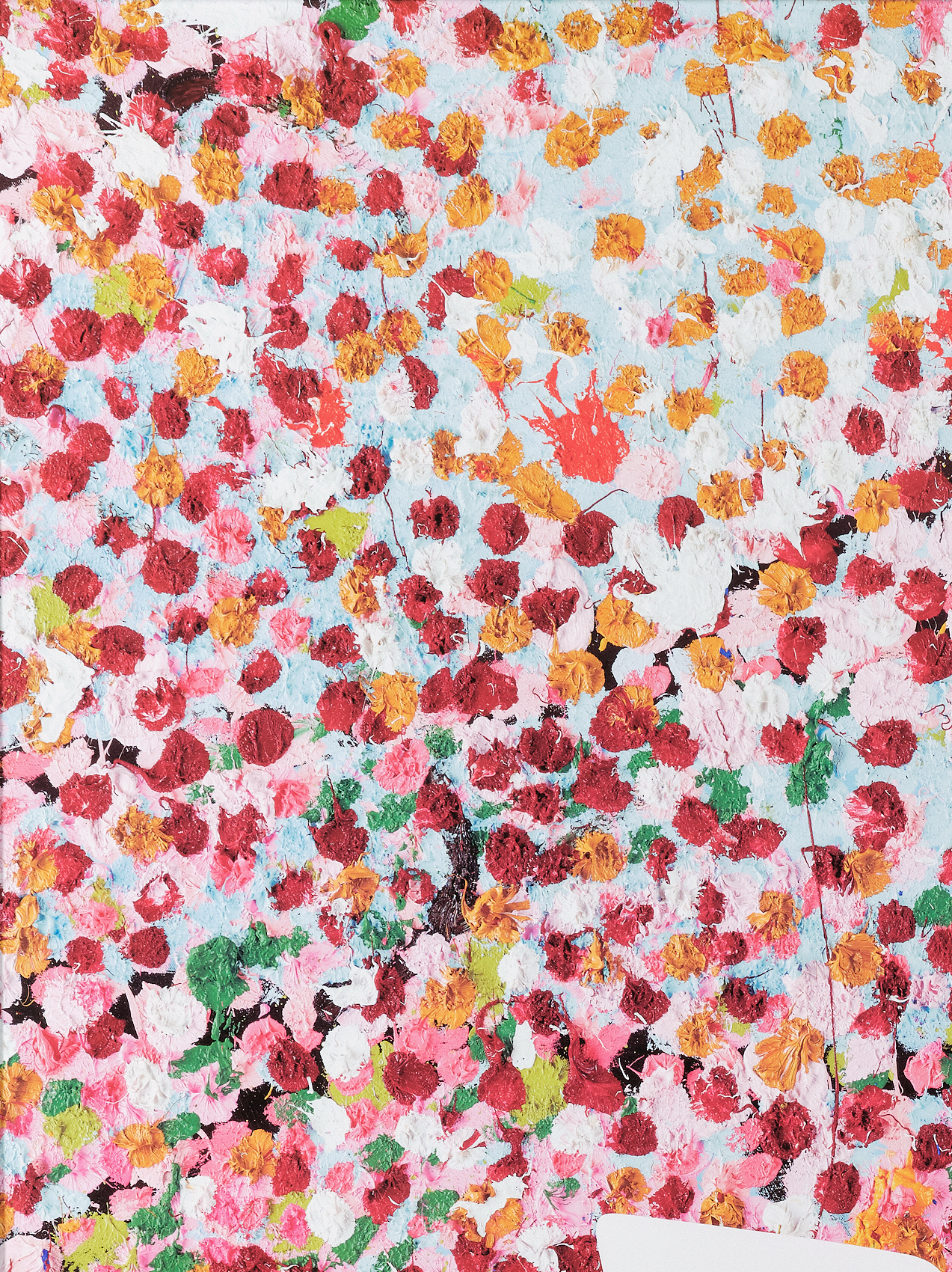 Cherry Blossoms - A - 이미지 3