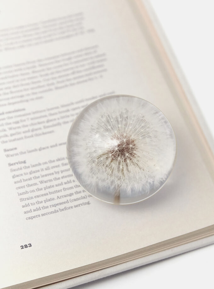 Dandelion Paperweight